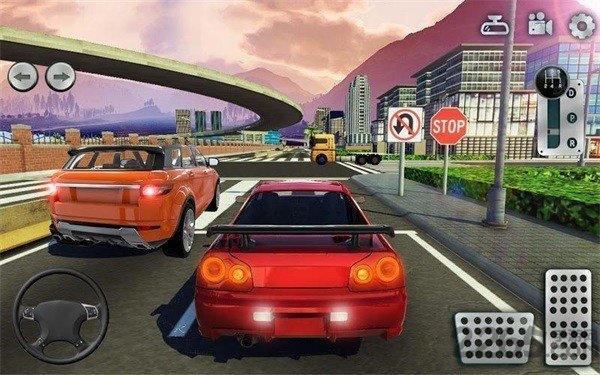 驾驶学校模拟(Driving School Sim)