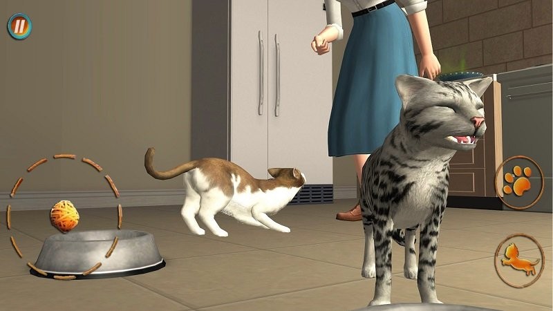 猫咪想恋爱手机版 猫咪想恋爱游戏下载