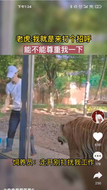 好刷app