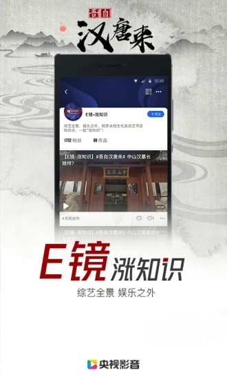 央视影音大屏版app