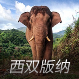 亚洲象预警监测平台