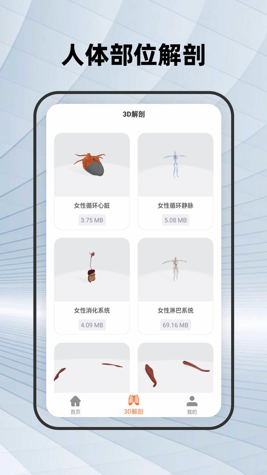 鸿物人体骨骼手机版 鸿物人体骨骼app下载