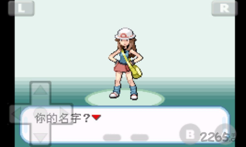 口袋妖怪火红精装版 口袋妖怪火红内购破解下载