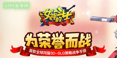 女神的斗士