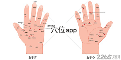 穴位app