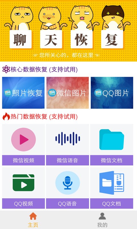 图域照片视频恢复软件