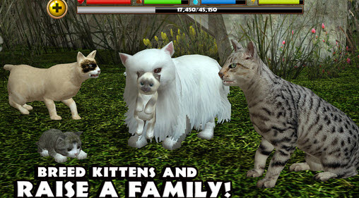 流浪猫模拟器中文版