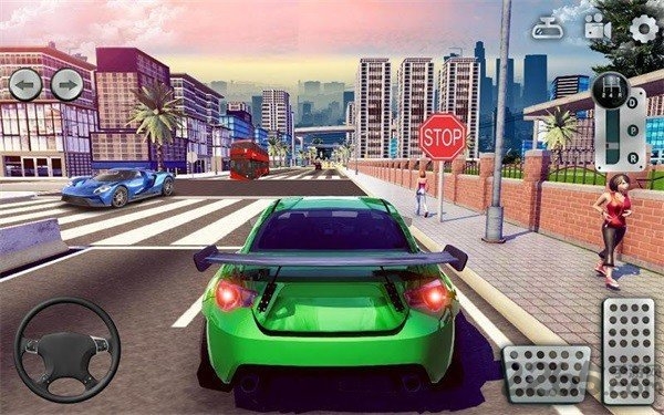 驾驶学校模拟(Driving School Sim)
