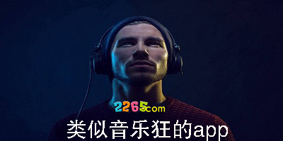类似音乐狂的app