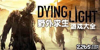 野外求生游戏