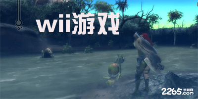 wii游戏