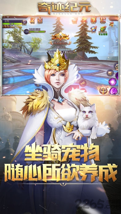 奇迹纪元游戏