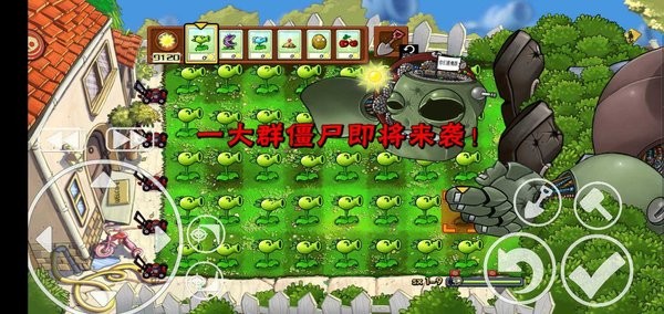 植物大战僵尸石头版