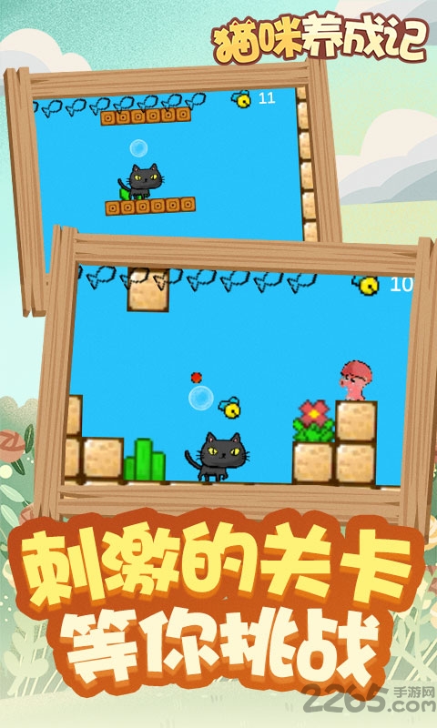 猫咪养成记赚钱游戏