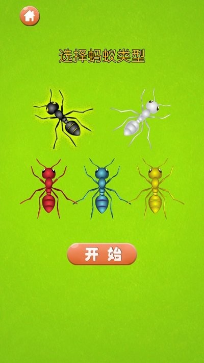 蚂蚁大战最新版 蚂蚁大战游戏下载