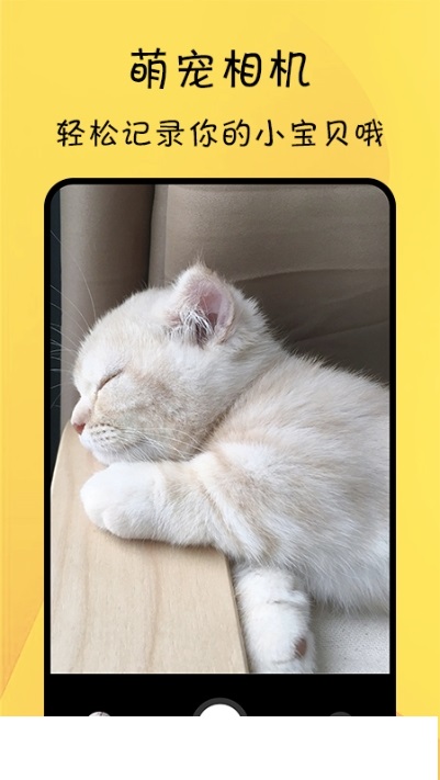 猫友舍app