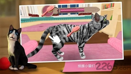 cathotel游戏中文版