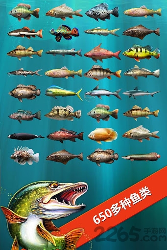 让我们钓鱼吧游戏