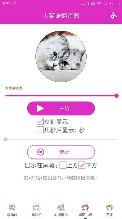 人猫语翻译器app