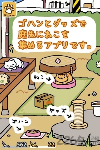 猫咪后院1.9.1全部猫版
