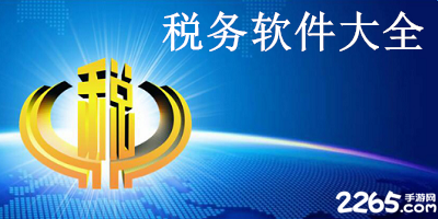 税务软件
