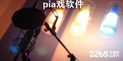 pia戏软件