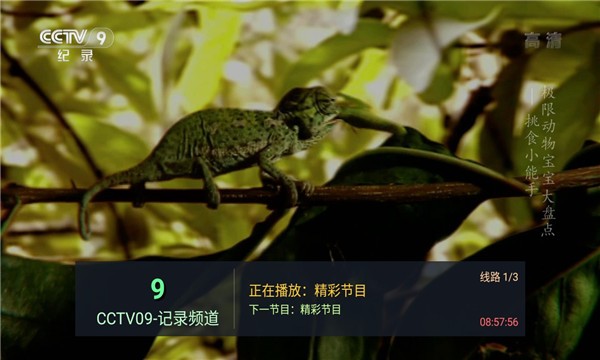 坚果hktv手机版