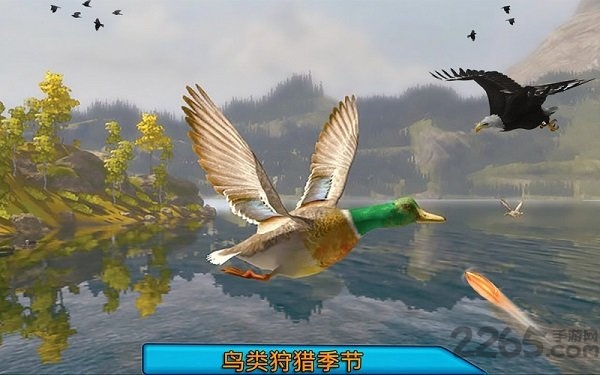 沙漠鸟类狙击手官方版