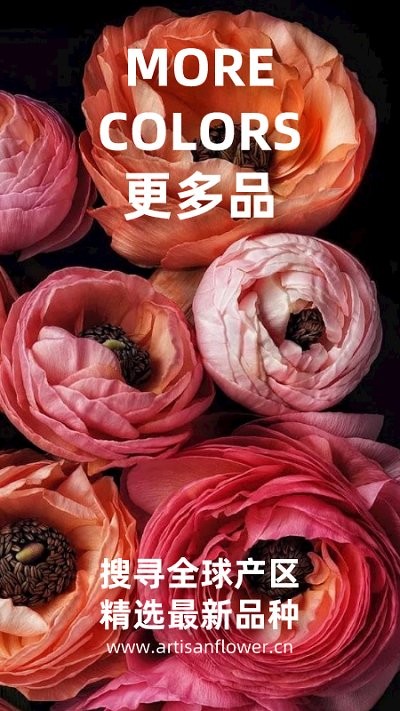匠人花材客户端 匠人花材app下载