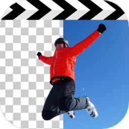 video视频抠图软件