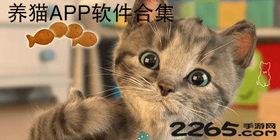 养猫app