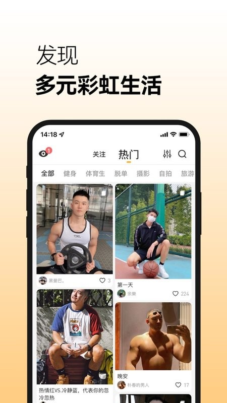 corgi软件