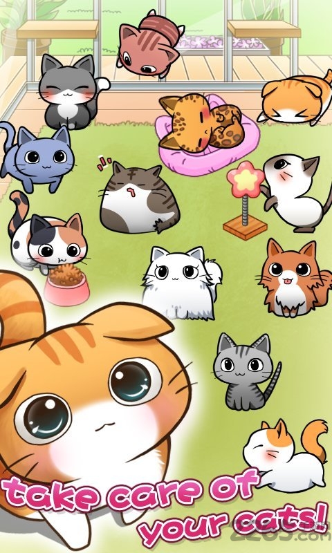 Cat Room手机版