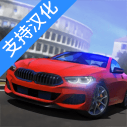 驾驶学校模拟(Driving School Sim)