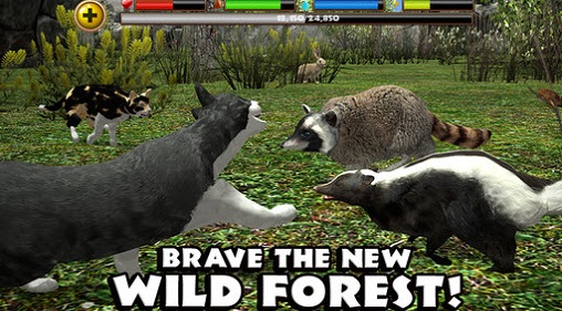 流浪猫模拟器中文版