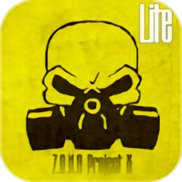 辐射生存无限子弹版