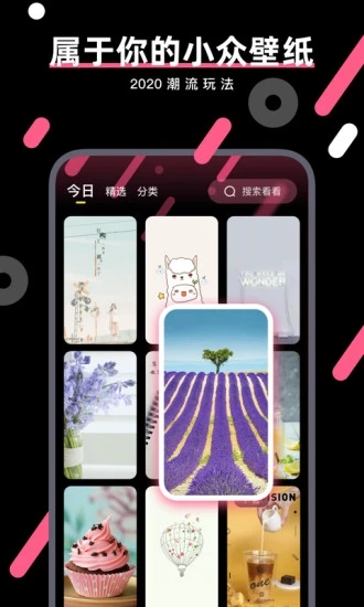 桔子壁纸软件