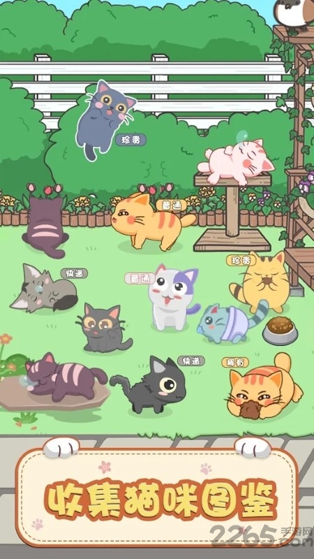 奇妙猫之家手游