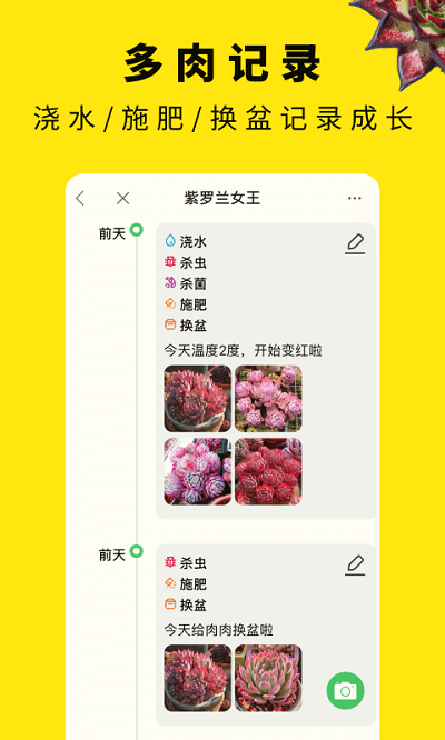 多肉圈最新版