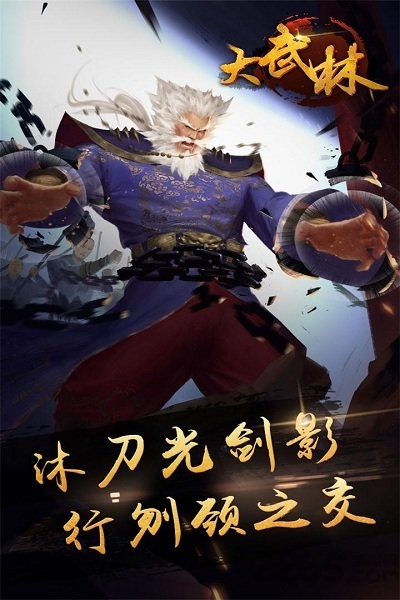 大武林手机版