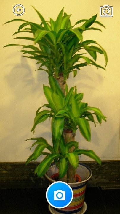 乐多宝盒app最新版