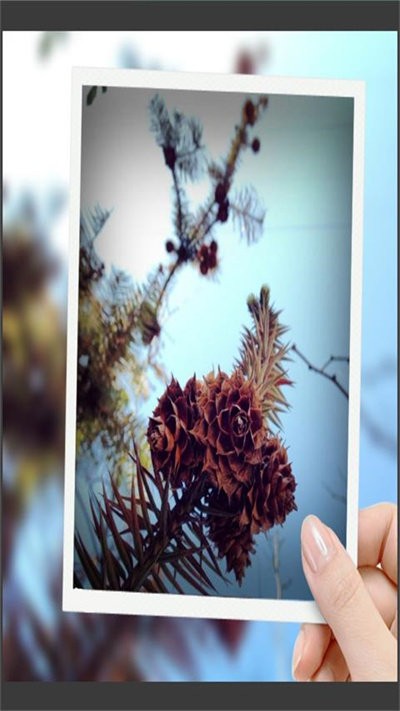 趣拍玩图照相机最新版