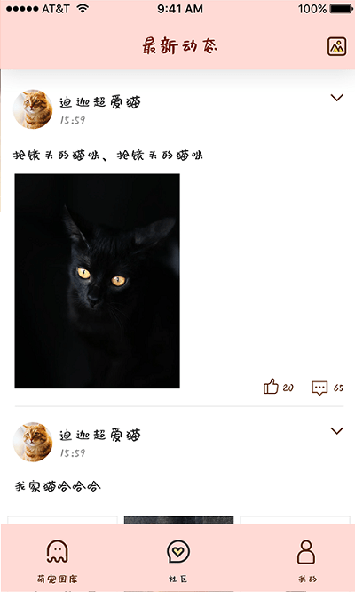 喵喵撸猫app