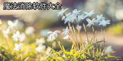 魔法消除软件