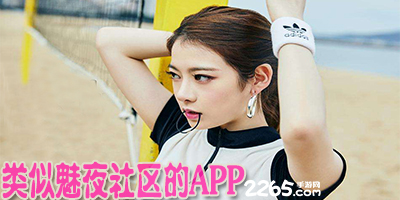 类似夜魅社区的app