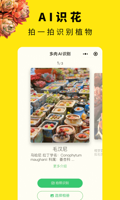 多肉圈最新版