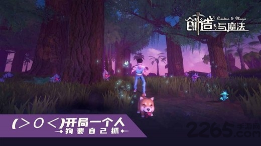 创造与魔法魅族登录版