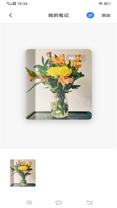 为知笔记本官方版