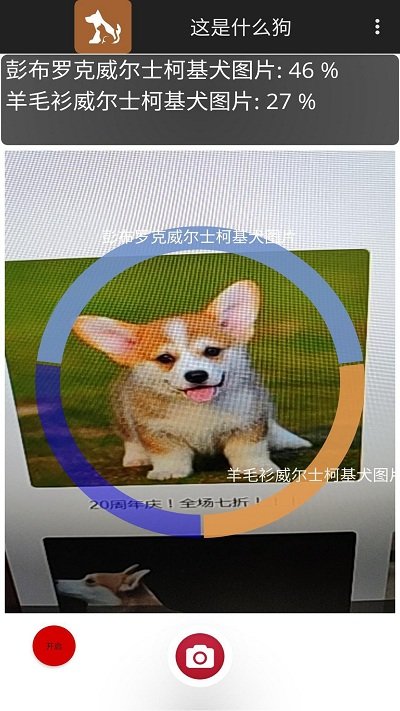 这是什么狗app下载