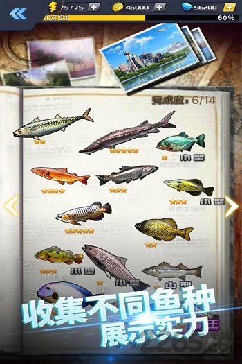 啪啪钓鱼官方正版